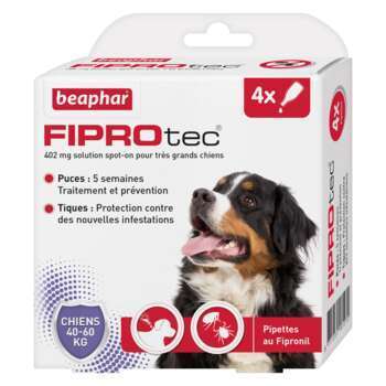 Fiprotec 402 MG pour très grands chiens Fipronil -
