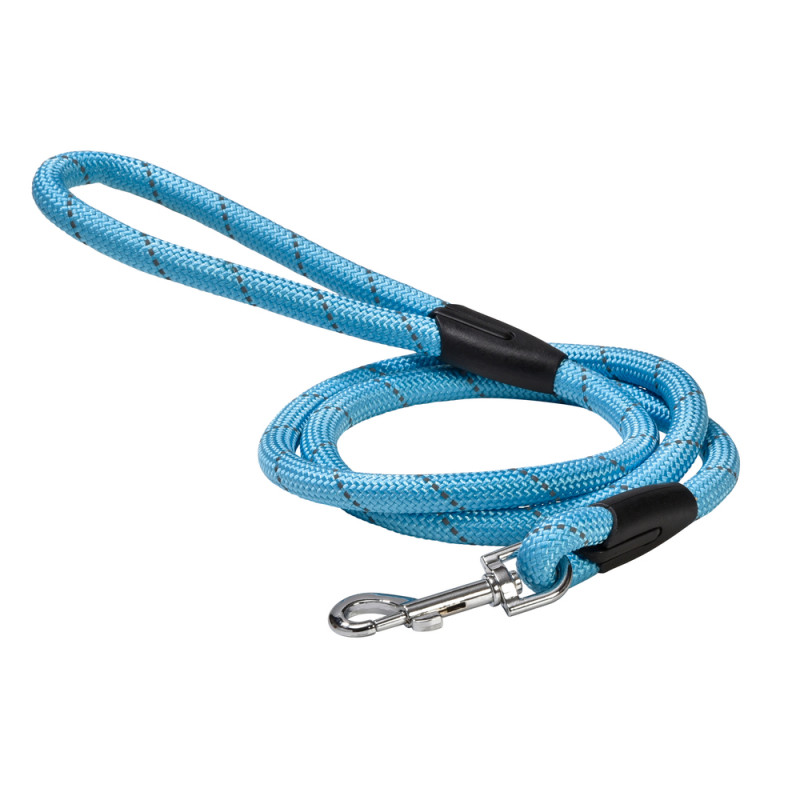 Laisse pour chien, Walk bleu 124x1. 2cm