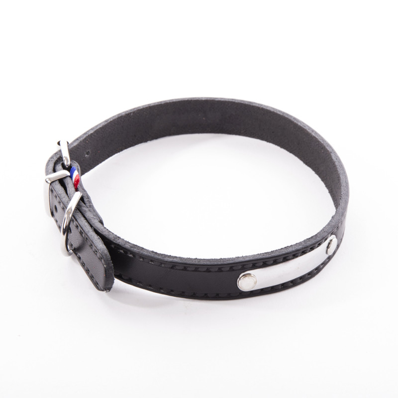 Collier Rive pour chien, coloris noir - 12/35cm