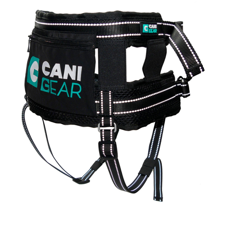 Baudrier pour chien, Olympia noir