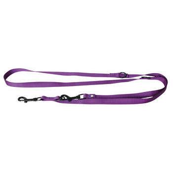 Laisse pour chien en nylon multifonctions 3 positi