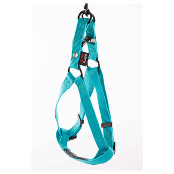 Baudrier chien : tour 70/90cm, turquoise