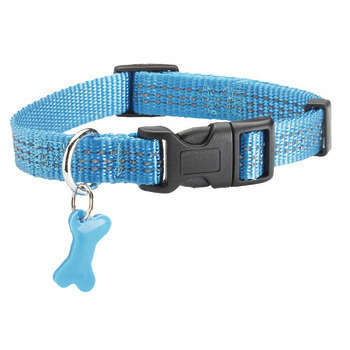 Collier Safe pour chien : bleu 25