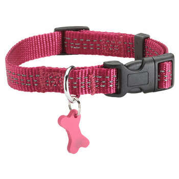 Collier Safe pour chien : fushia 10