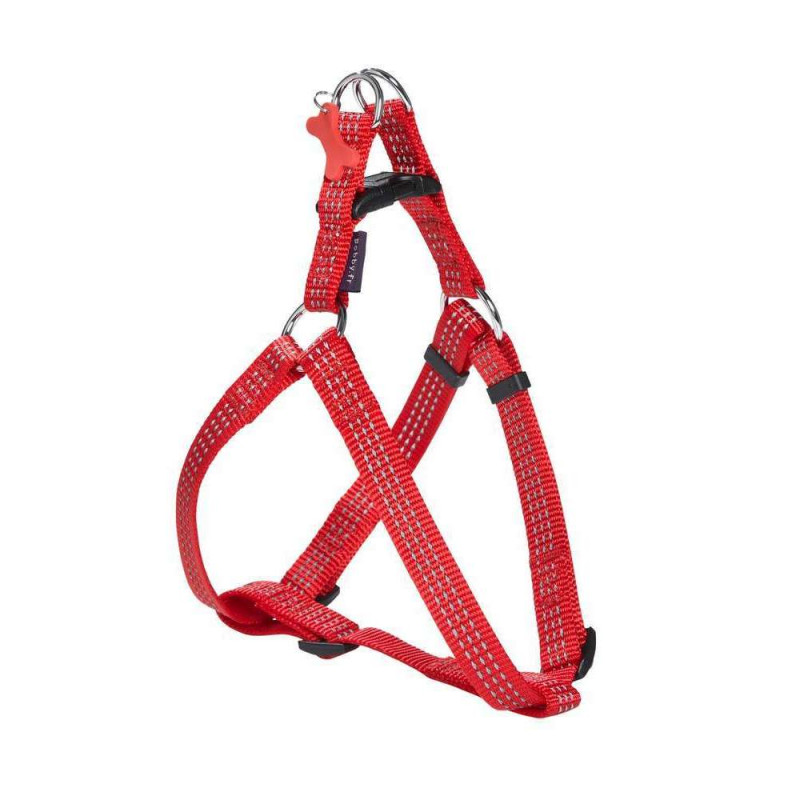 Harnais Safe pour chien : rouge 20