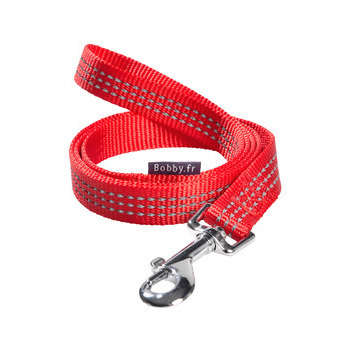 Laisse Safe pour chien : rouge 20