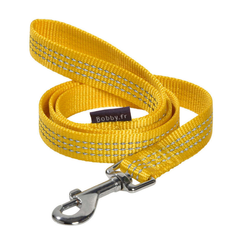 Laisse Safe pour chien : jaune 10