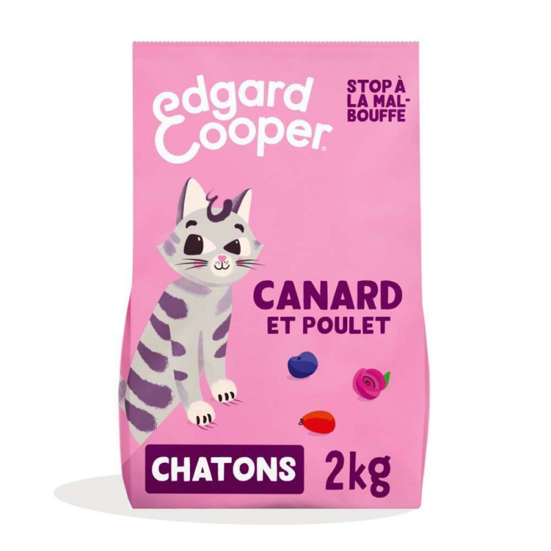 Croquettes pour chaton