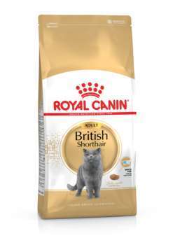 Croquettes chat British ShortHair Adulte + de 12 m