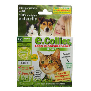 Collier antiparasitaire chat essentiel phosphoresc