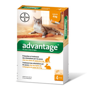 Antiparasitaire pour chat/lapin de moins de 4 kilo