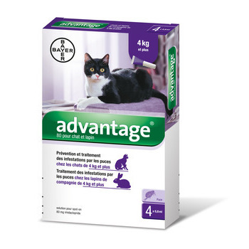 Antiparasitaire pour chat/lapin de plus de 4 kilos