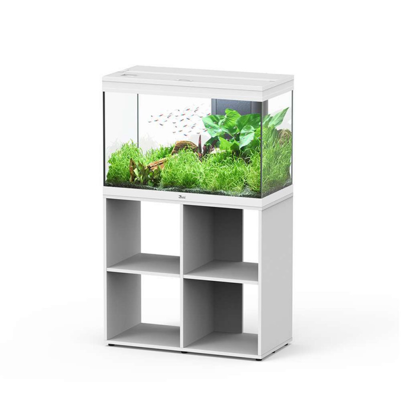 Aquarium meuble Splendid : L.80,2xh.128,9cm
