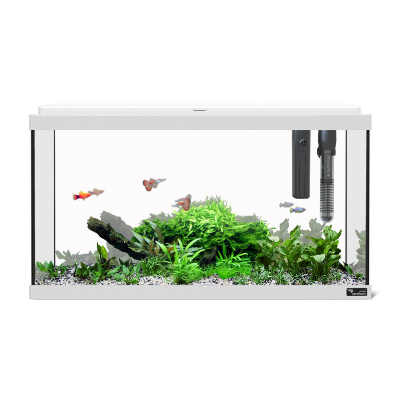 Aquarium Explorer Paris 60 LED équipé, coloris bla