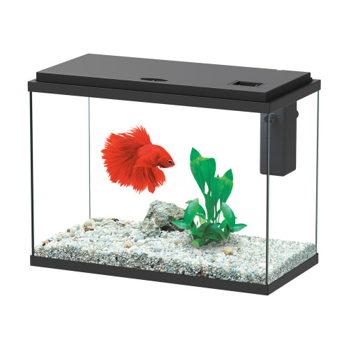 Aquarium ALOE LED équipé noir 24 litres - L. 40,4x