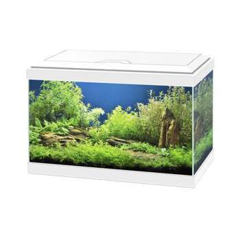 Eclairage pour aquarium sarawak 40 - Truffaut-Barentin