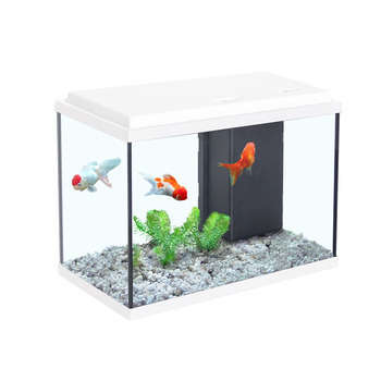 Aquarium Aqua Sarawak - 15L