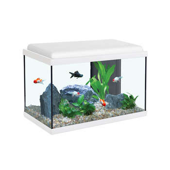 Aquarium Aqua Sarawak, blanc - 40 litres