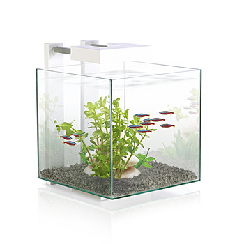 Aquarium nano Nexus Pure Cube - 15 litres