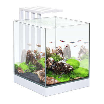 Aquarium Nano Nexus, coloris blanc - 25 litres