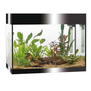 Aquarium Askoll Pure LED, noir - 81 litres