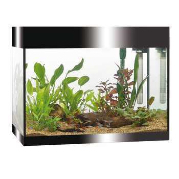 Aquarium Askoll Pure LED - 81L