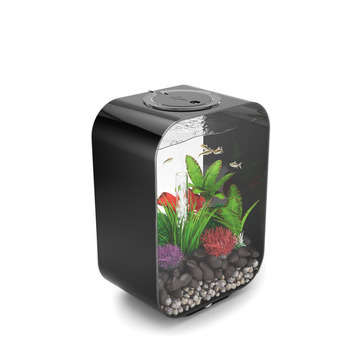 Aquarium Biorb LIFE - 15L