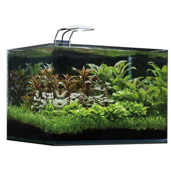 Aquarium Nano Scaperstank Basic - 35L