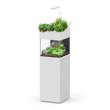 Aquarium avec meuble Aquaponie bois - 53L