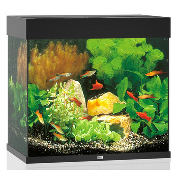 Aquarium Lido LED - 120L