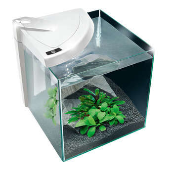 Aquarium Newa More poisson d'eau douce - 20L