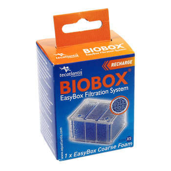 Easybox mousse: plastique xs l.5,5xL.4xh.7cm