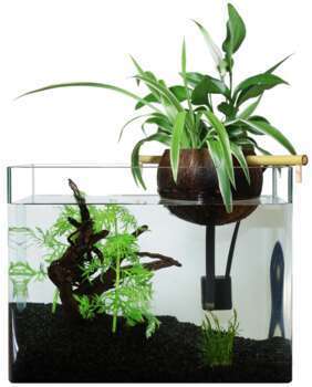 Filtre naturel aquarium 30L CocoFiltre30