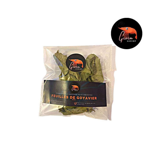 10 feuilles de goyave pour crevettes - 5g