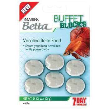 Blocs vacances : betta, 12g