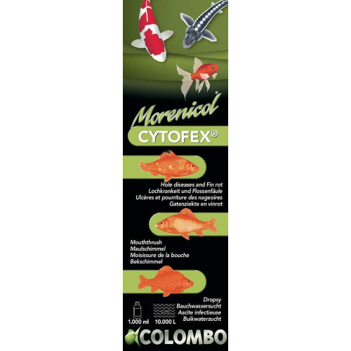 Traitement contre les infections bactériennes Cyto