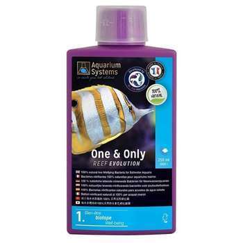 Demarreur aquarium eau de mer