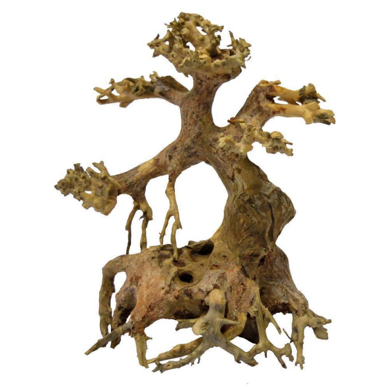 Décor aquarium Racine bonsaï Driftwood XS