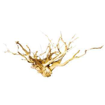 Racine décorative aquarium et terrarium : araignée
