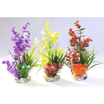 Décoration d'aquarium : Composition eucalyptus