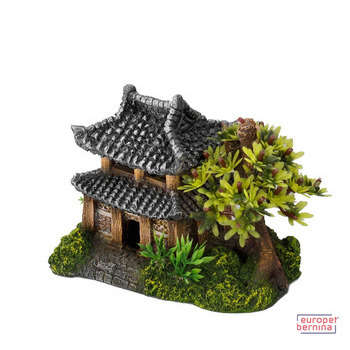 Décoration d'aquarium, Maison Asiatique - L. 20xl.