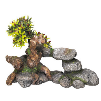 Décoration bonsai : 19x9x13cm