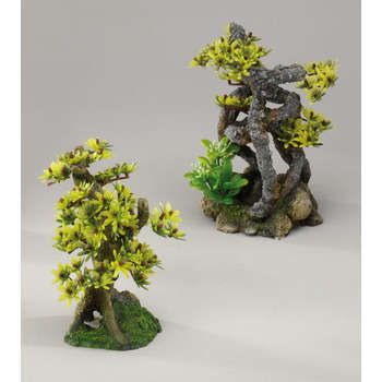 Décoration d'aquarium, Twist bonsai - L. 11xl. 11x
