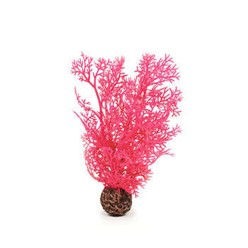 Décor corail : L.11,5xl.7,5xh.26cm, rose