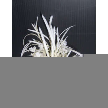 Décor d'aquarium : herbe papillon 4 coloris assort