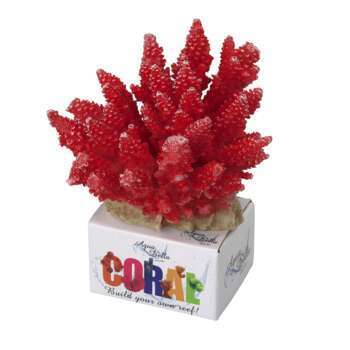 Décor aquarium Coral Acropora M