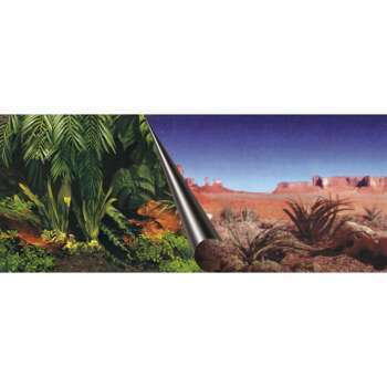 Poster pour fond d'aquarium, jungle et désert - 60