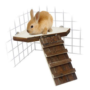 Plateforme + rampe pour lapin nain et furet : gran