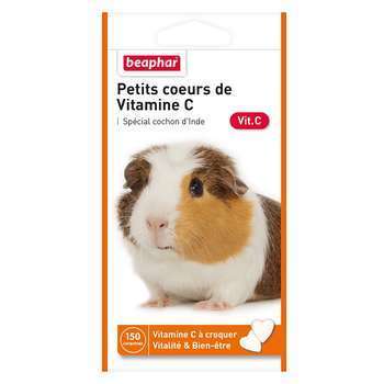 Vitamine C en petits coeurs cochons dInde 150 c
