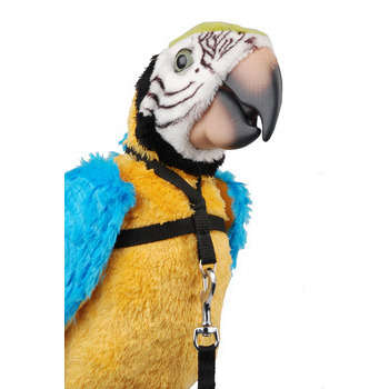 Harnais et longe pour ara et cacatoès : 8 mètres L